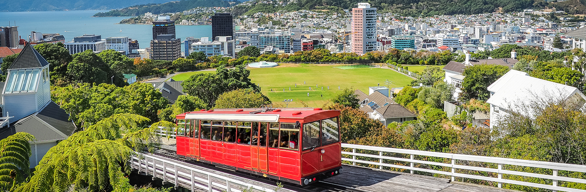 Wellington city skyline