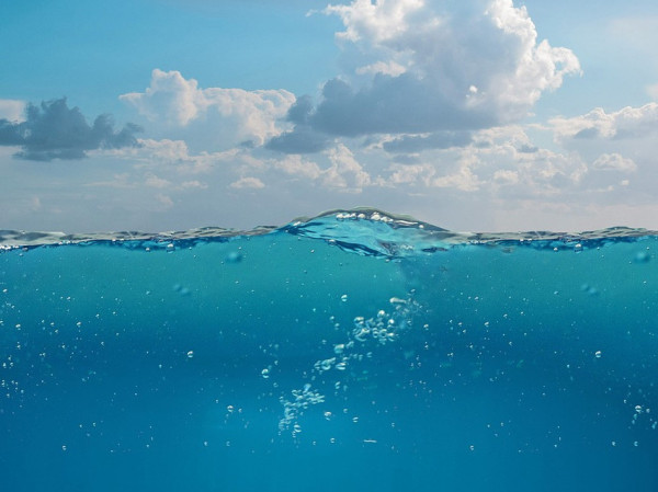 OUR CHANGING OCEANS – Paul Broady