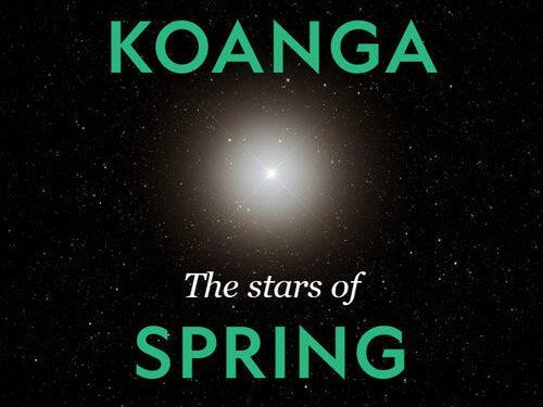 Ngā Whetū o Kōanga (The Stars of Spring)