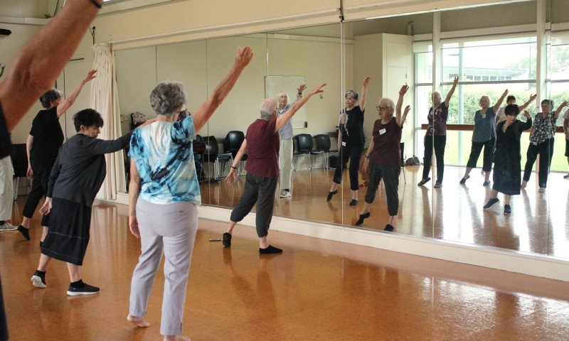 Free Seniors Adapted Dance Class