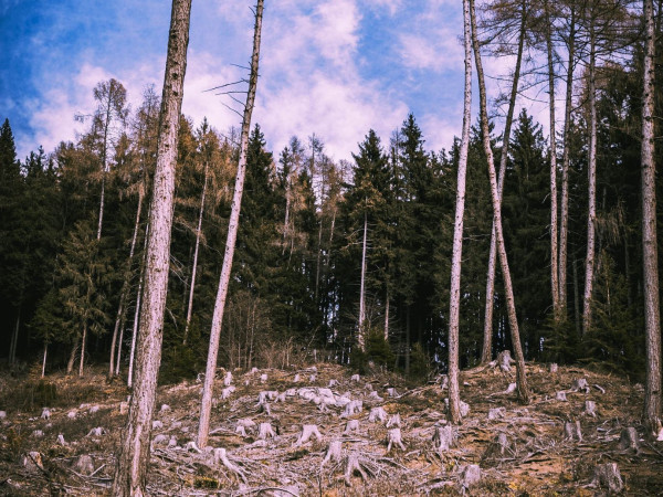 Our Changing Landscapes