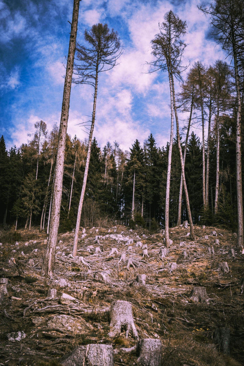 Our Changing Landscapes