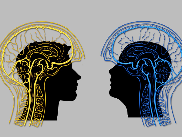 Brain Development - The Later Years