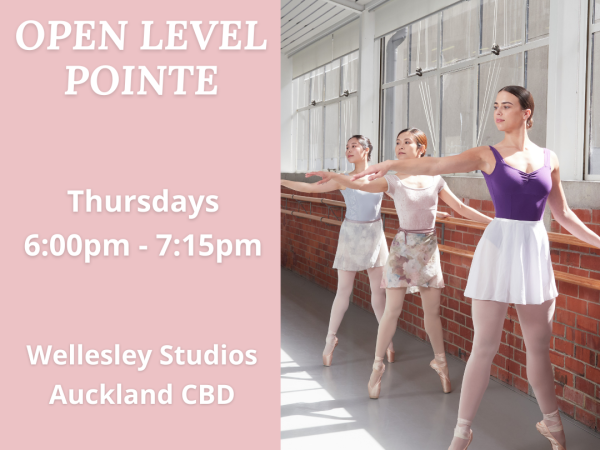 Open Level Pointe