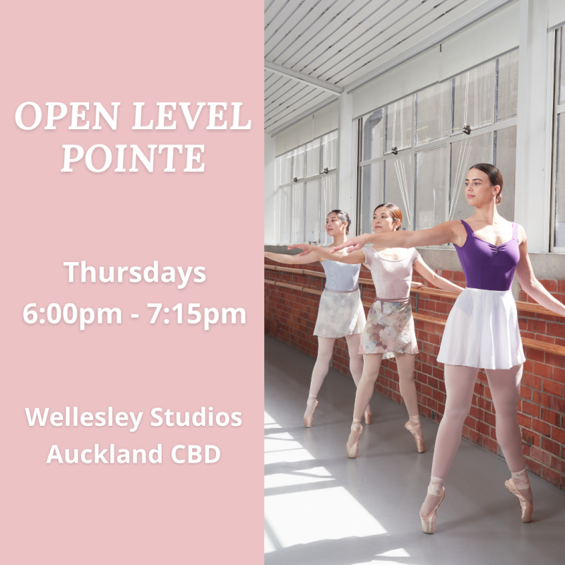 Open Level Pointe