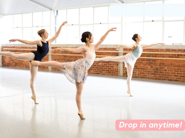 Adult Ballet Intermediate / Advanced