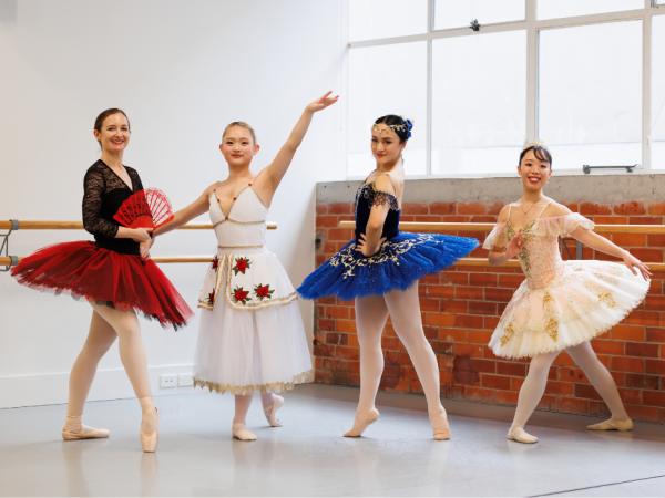 Adult Ballet Intermediate + Repertoire