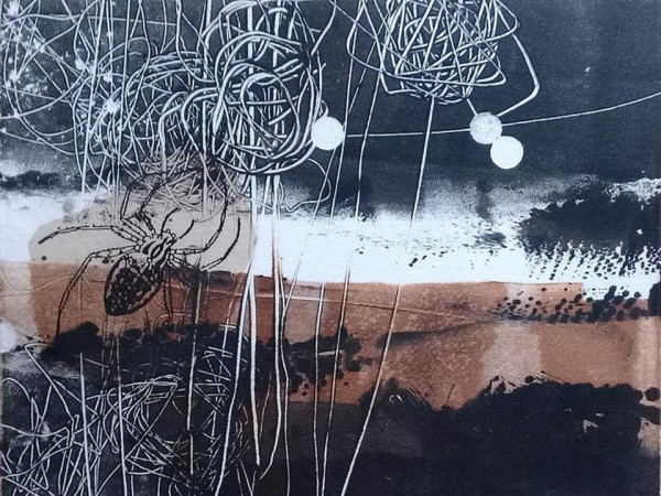 Printing with Chine Colle
