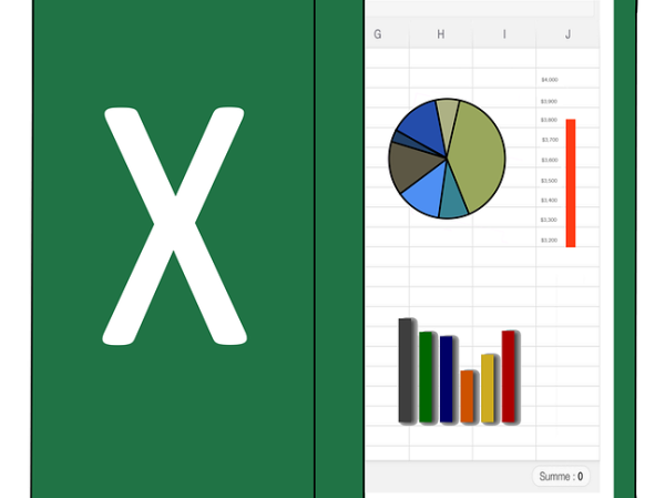 MS Excel Beginners to Intermediate Workshop
