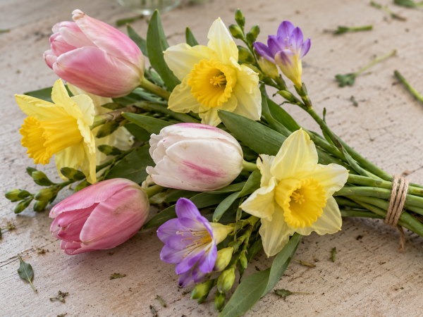 Floral Design: Fresh Spring Blooms