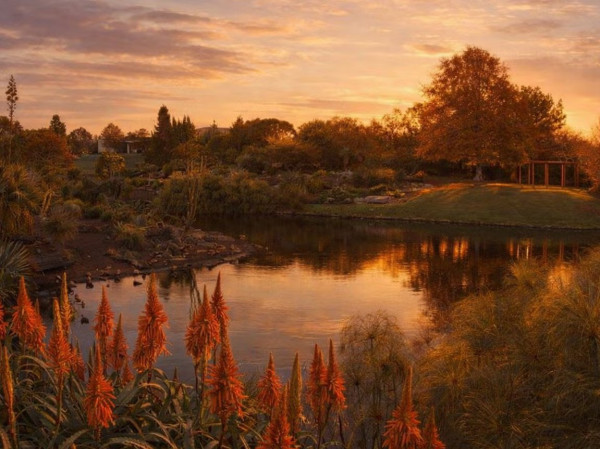 Walk & Talk Botanic Gardens: Conversations that Matter