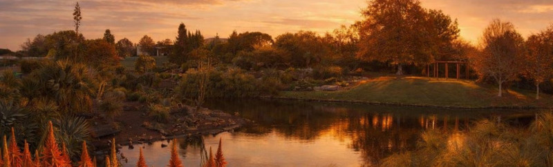 Walk & Talk Botanic Gardens: Conversations that Matter