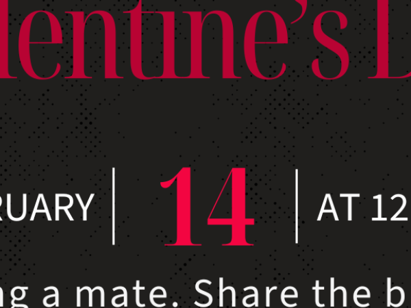 Valentine’s Day Pole Doubles Workshop