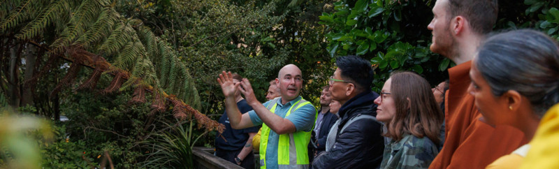 Spotlight Talks: From Land, Sea, and Sky