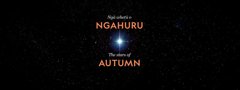 Ngā Whetū o Ngahuru (The Stars of Autumn)