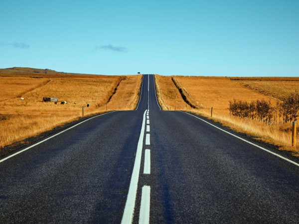 Learner Licence (Theory) - Tangaroa College