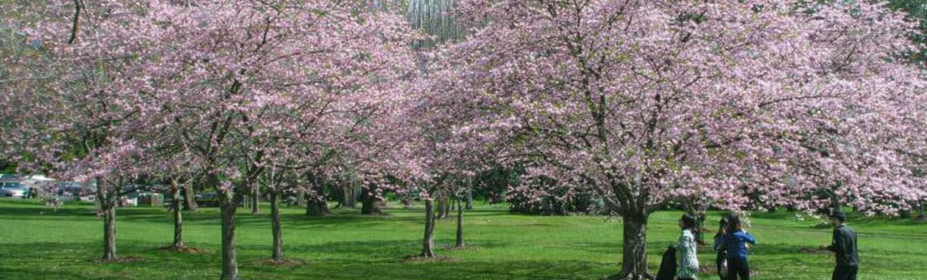 Walk & Talk Cornwall Park: Conversations that Matter
