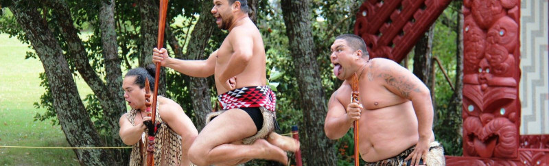 Te Reo Māori – Beginners