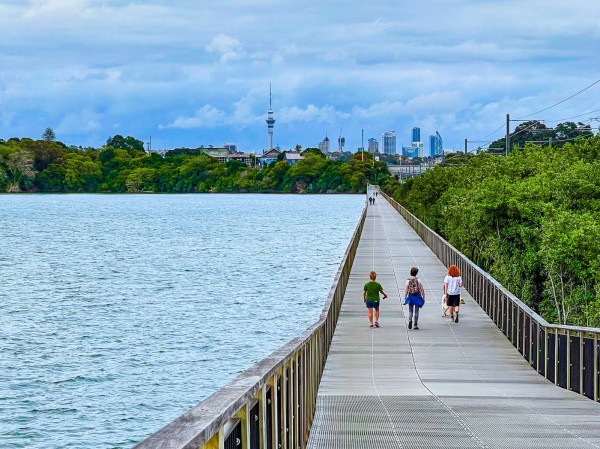 Walk & Talk Ōrākei: Conversations that Matter