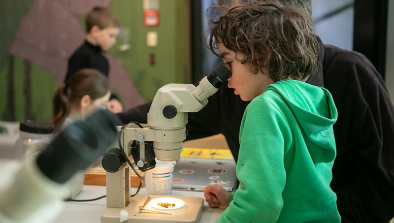 Whānau Day: Breathe | Mauri Ora