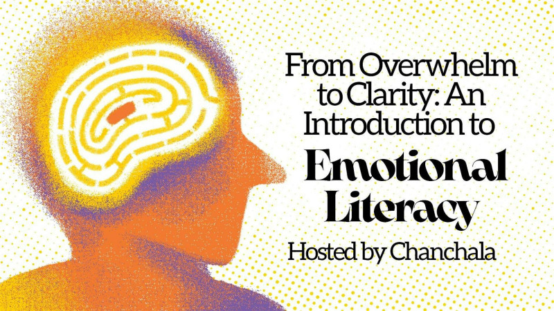 From Overwhelm to Clarity: An Introduction to Emotional Lite