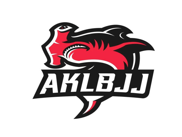 Brazilian Jiu Jitsu Kids class (8-16 y.o.)