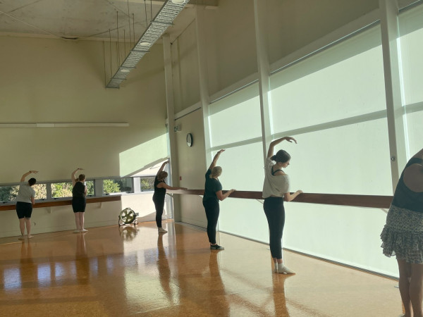Ballet Basics (Adults 17+)