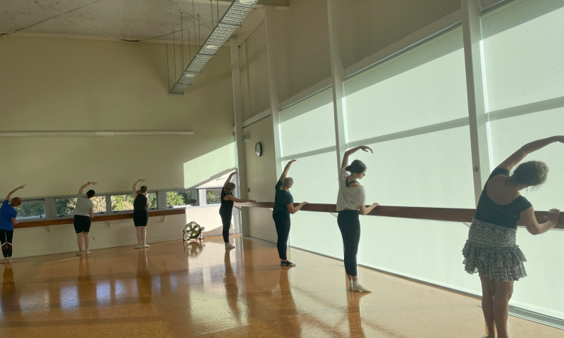 Ballet Basics (Adults 17+)