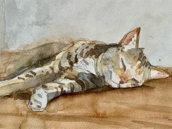 Paint your pet - Creative Arts holiday programme