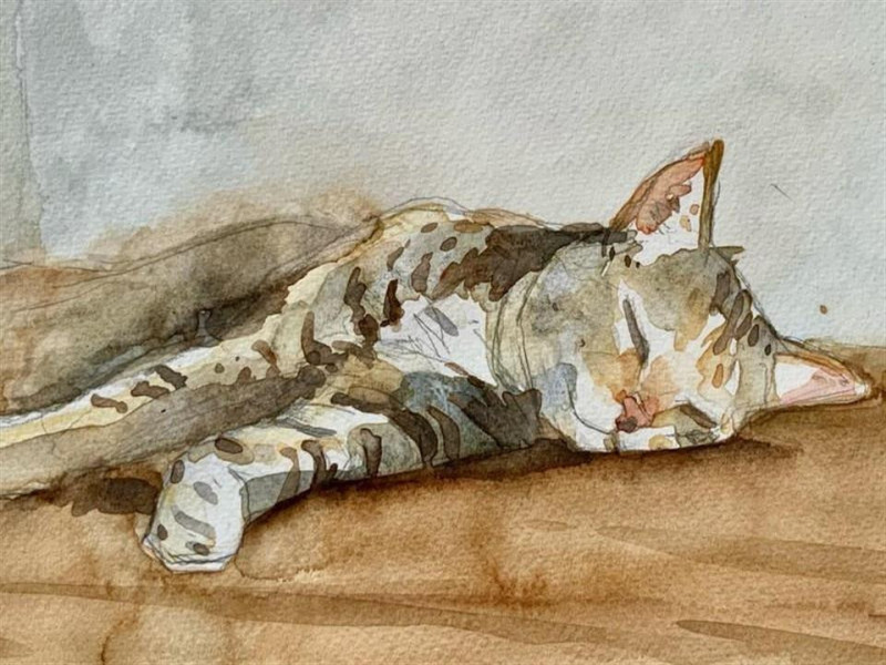 Paint your pet - Creative Arts holiday programme