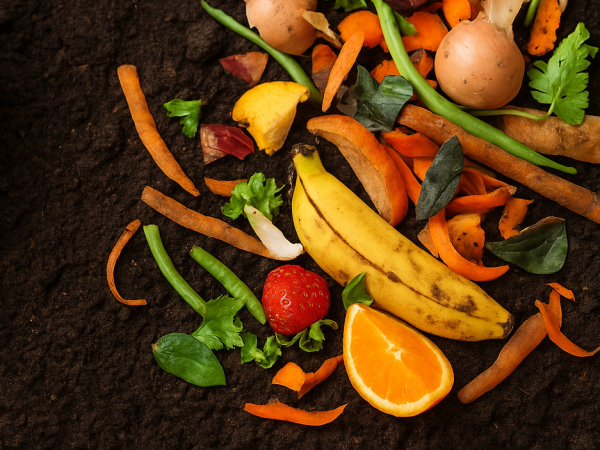 Pest Free Composting Workshop – Birkenhead