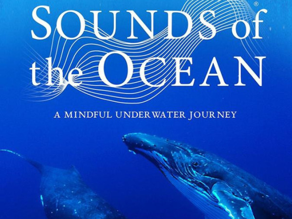 Sounds of the Ocean