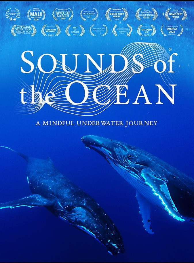 Sounds of the Ocean