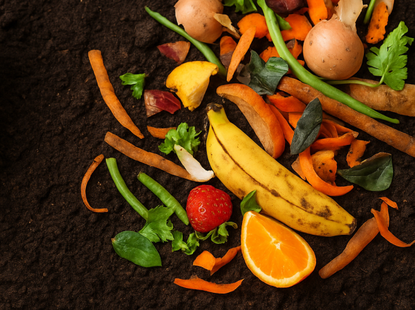 Composting Basics Workshop – Manurewa