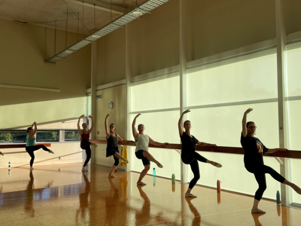 Open Level Ballet (Adults 17+)