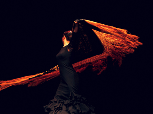 Flamenco Dance (Teens & Adults)