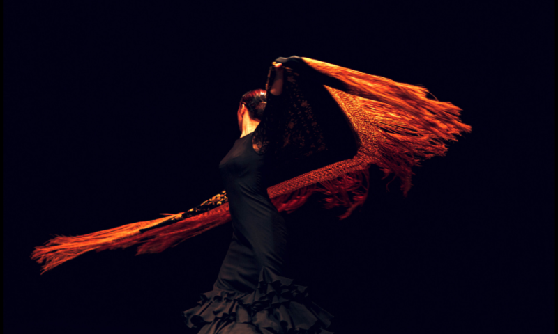 Flamenco Dance (Teens & Adults)