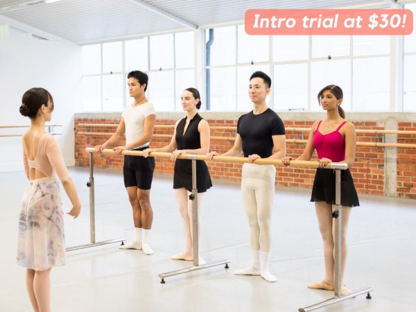 Absolute Beginner Ballet Course 2026 Term 4