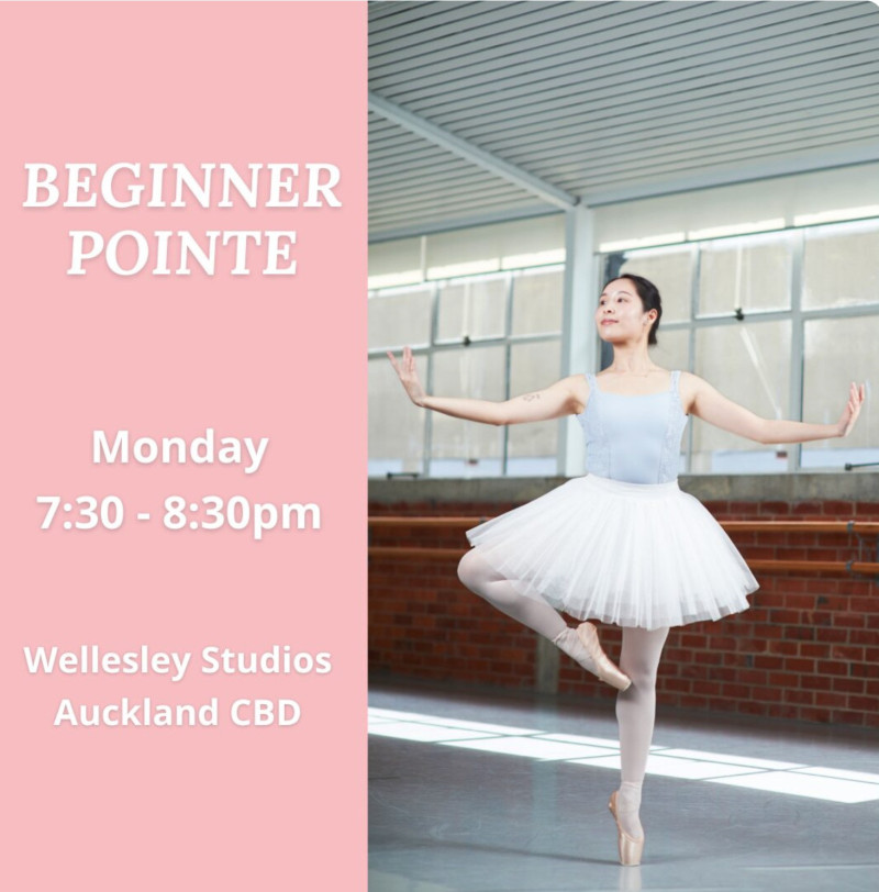 Beginner Pointe