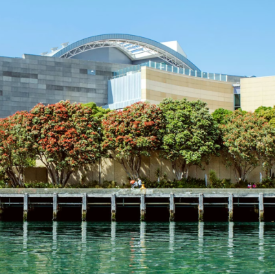 Museum of New Zealand Te Papa Tongarewa